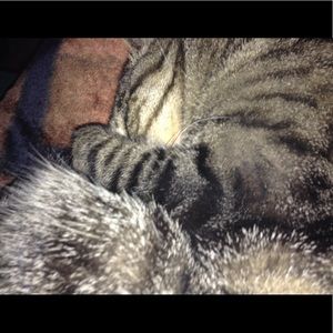 Meet your Posher, Keeley